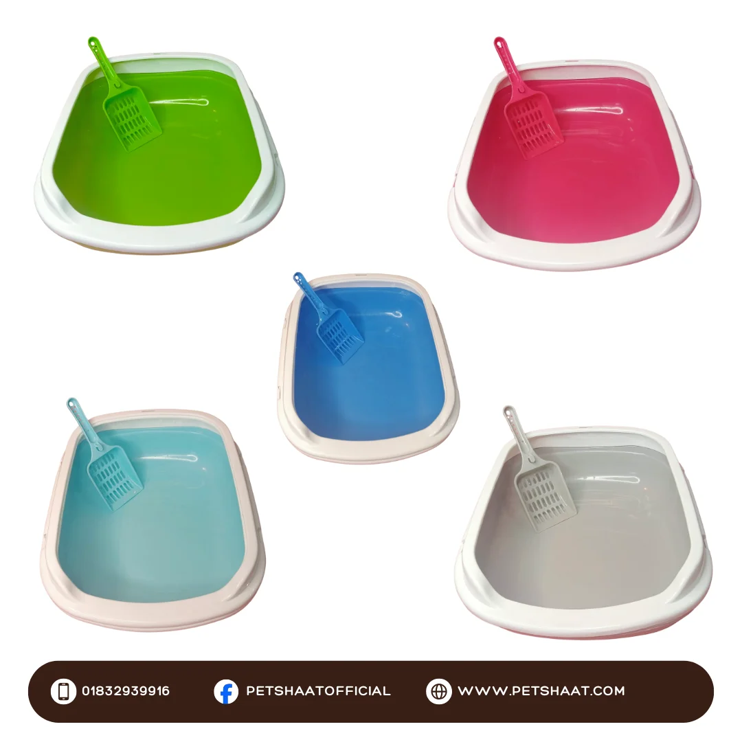 Litter box with Scoop