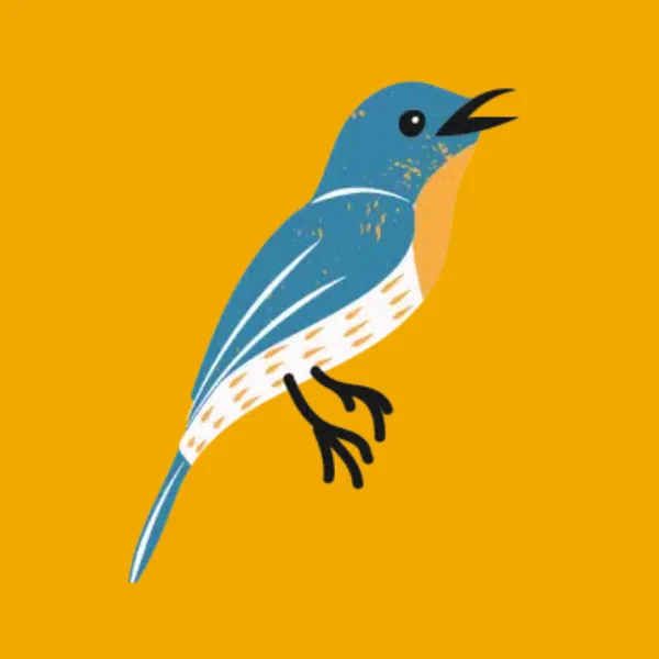 Bird Food & Accessories